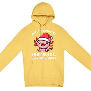 Axolotl Boy Girl Axolotl Questions Christmas Premium Pullover Hoodie