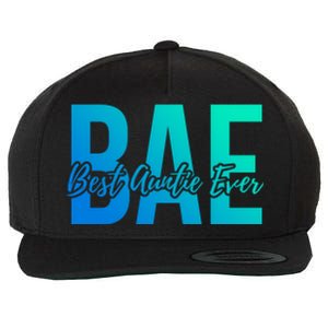 Aun Bae Gift Best Auntie Ever Cute Gift Wool Snapback Cap