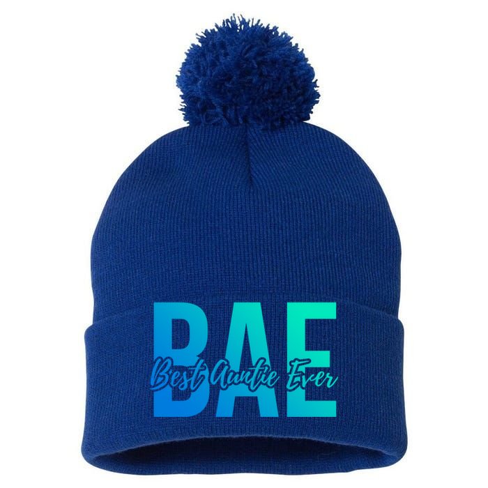 Aun Bae Gift Best Auntie Ever Cute Gift Pom Pom 12in Knit Beanie