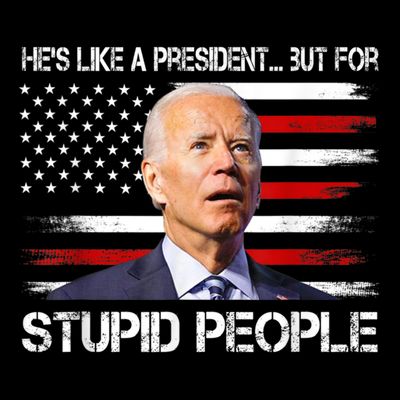 Anti Biden HeS Like A President...But For Stupid People T-Shirt