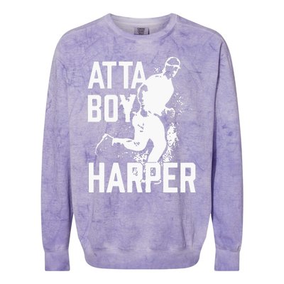 Atta Boy Harper Colorblast Crewneck Sweatshirt