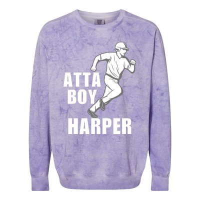 Atta Boy Harper Philadelphia Colorblast Crewneck Sweatshirt