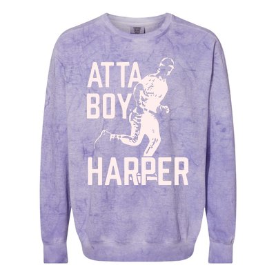 Atta Boy Harper Philadelphia Colorblast Crewneck Sweatshirt