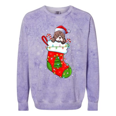 American Bulldog In Christmas Socks Santa Xmas Cool Gift Colorblast Crewneck Sweatshirt