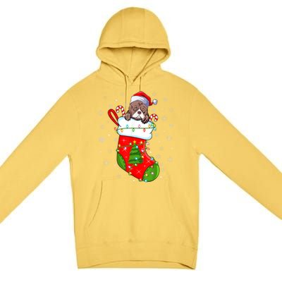 American Bulldog In Christmas Socks Santa Xmas Cool Gift Premium Pullover Hoodie