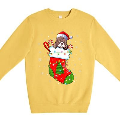 American Bulldog In Christmas Socks Santa Xmas Cool Gift Premium Crewneck Sweatshirt