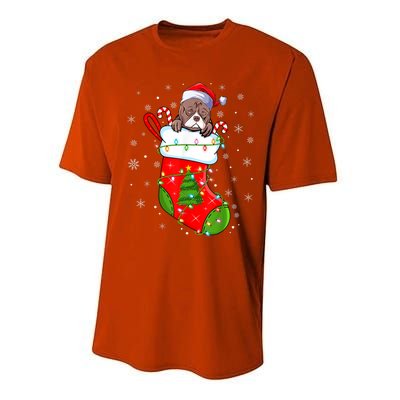 American Bulldog In Christmas Socks Santa Xmas Cool Gift Performance Sprint T-Shirt