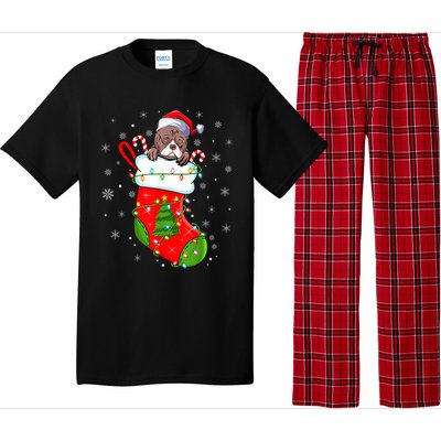 American Bulldog In Christmas Socks Santa Xmas Cool Gift Pajama Set