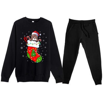 American Bulldog In Christmas Socks Santa Xmas Cool Gift Premium Crewneck Sweatsuit Set