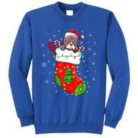 American Bulldog In Christmas Socks Santa Xmas Cool Gift Sweatshirt