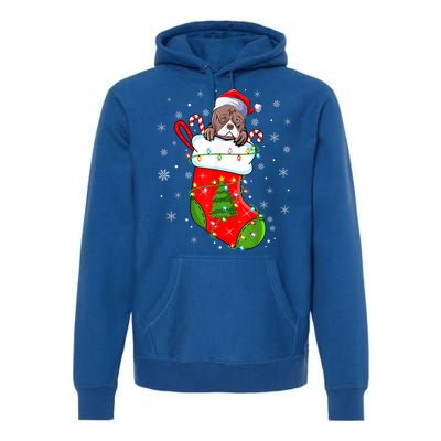 American Bulldog In Christmas Socks Santa Xmas Cool Gift Premium Hoodie