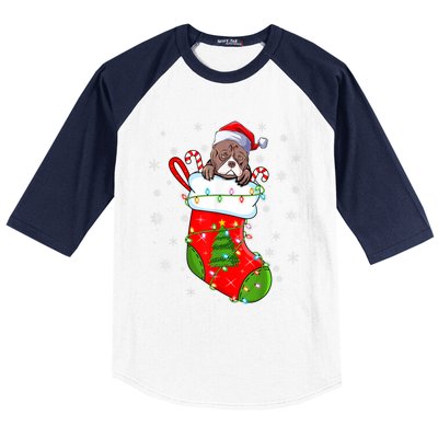 American Bulldog In Christmas Socks Santa Xmas Cool Gift Baseball Sleeve Shirt