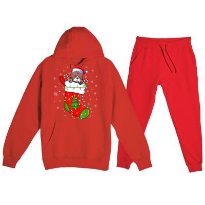 American Bulldog In Christmas Socks Santa Xmas Cool Gift Premium Hooded Sweatsuit Set