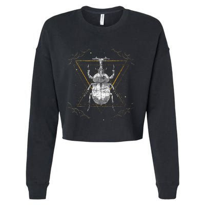 Animal Beetle Insect Occult Bug Cropped Pullover Crew