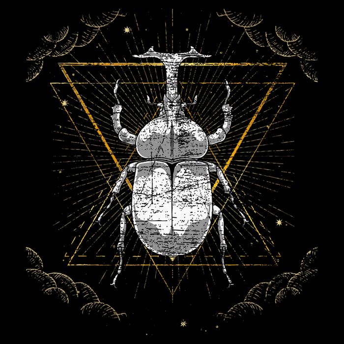 Animal Beetle Insect Occult Bug Wool Snapback Cap