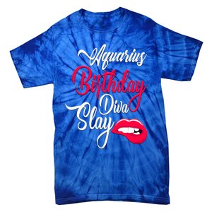 Aquarius Born In Birthday Diva Slay Januaryfebruary Gift Tie-Dye T-Shirt