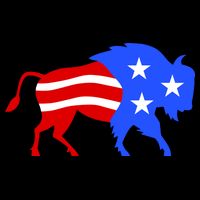 American Bison Illustration Wool Snapback Cap