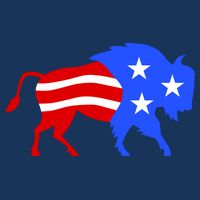 American Bison Illustration Flatbill Hat