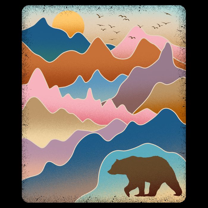 Abstract Bear Mountain Wilderness Apron