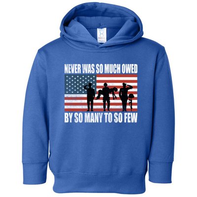 America Brave Military Soldier Us Flag Veteran Gift Toddler Hoodie