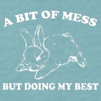 A Bit Of A Mess But Doing My Best Retro Funny Rabbit Sueded Cloud Jersey T-Shirt