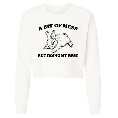 A Bit Of A Mess But Doing My Best Retro Funny Rabbit Cropped Pullover Crew