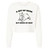 A Bit Of A Mess But Doing My Best Retro Funny Rabbit Cropped Pullover Crew