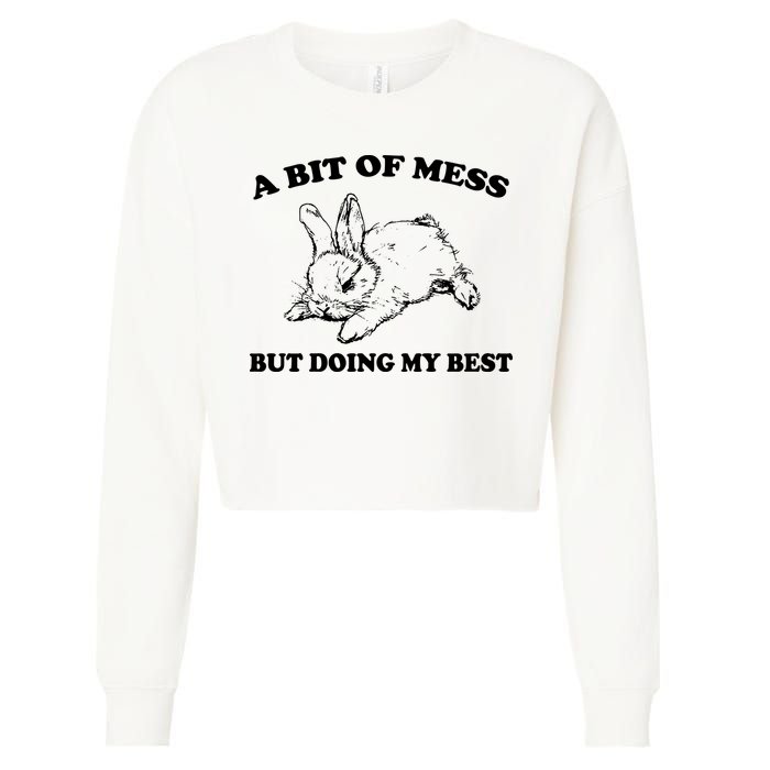 A Bit Of A Mess But Doing My Best Retro Funny Rabbit Cropped Pullover Crew