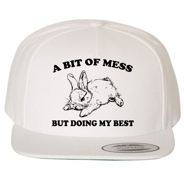 A Bit Of A Mess But Doing My Best Retro Funny Rabbit Wool Snapback Cap