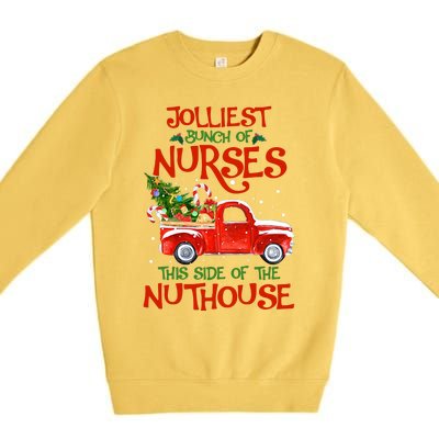 A Bunch Of A Nurses This Side Of The Nuthouse Christmas Premium Crewneck Sweatshirt