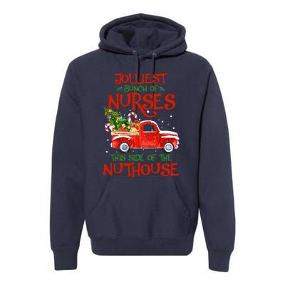 A Bunch Of A Nurses This Side Of The Nuthouse Christmas Premium Hoodie