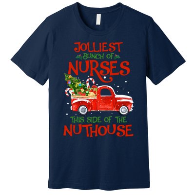 A Bunch Of A Nurses This Side Of The Nuthouse Christmas Premium T-Shirt