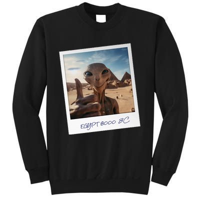 Aliens Building Pyramids Ufo Conspiracy Theory Sarcasm Sweatshirt