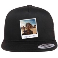 Aliens Building Pyramids Ufo Conspiracy Theory Sarcasm Flat Bill Trucker Hat