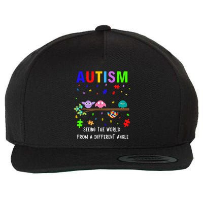 Autism Bird Puzzle Seeing The World From A Different Angle Gift Wool Snapback Cap