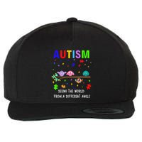 Autism Bird Puzzle Seeing The World From A Different Angle Gift Wool Snapback Cap