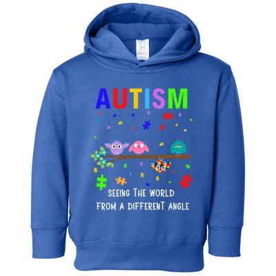Autism Bird Puzzle Seeing The World From A Different Angle Gift Toddler Hoodie