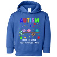 Autism Bird Puzzle Seeing The World From A Different Angle Gift Toddler Hoodie