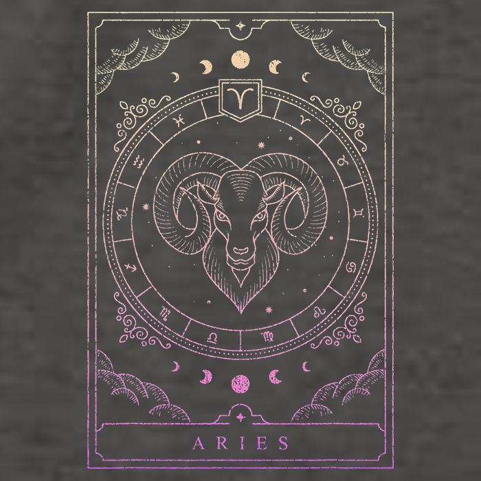 Aries Birthday Present Wo Zodiac Sign Aries Vector Backpack