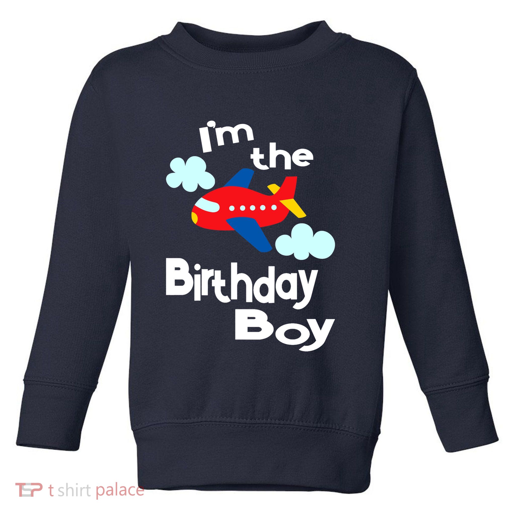 Airplane Birthday Party Outfit - I'm The Birthday Boy Toddler Sweatshirt