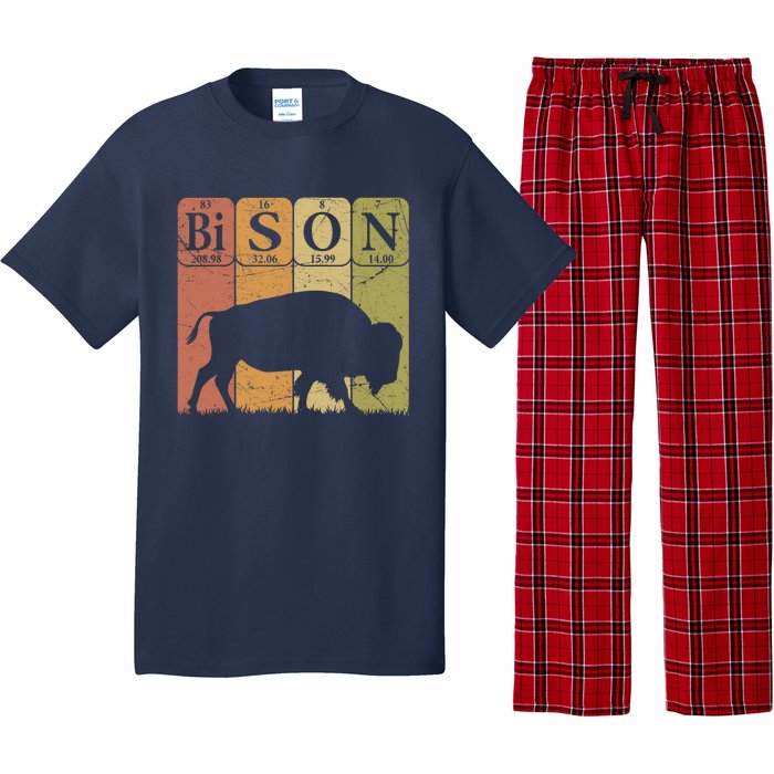 American Bison Periodic Table Elements Buffalo Retro Pajama Set