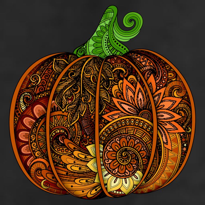 Abstract Pumpkin Thanksgiving Logo Adult Drive Performance Visor
