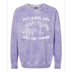 Animal Behaviorist Training Gift Dog Trainer Cool Gift Colorblast Crewneck Sweatshirt