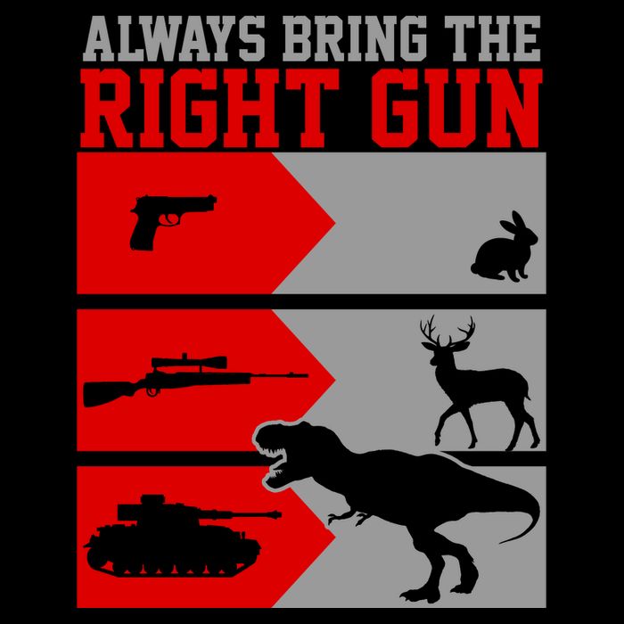 Always Bring The Right Funny Women's V-Neck T-Shirt