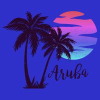 Aruba Beach Vacation Caribbean Cruise Retro Sunset Palm Tree Meaningful Gift 16 in Basic Backpack