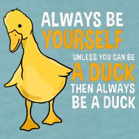 Always Be Yourself Unless You Can Be A Duck For Duck Lover Sueded Cloud Jersey T-Shirt