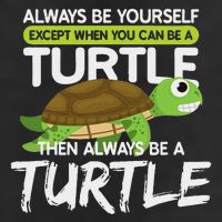 Always Be Yourself Except You Can Be Turtle Funny 7 Panel Mesh Trucker Snapback Hat