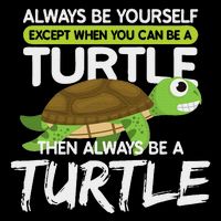 Always Be Yourself Except You Can Be Turtle Funny Pom Pom 12in Knit Beanie