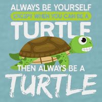 Always Be Yourself Except You Can Be Turtle Funny Sueded Cloud Jersey T-Shirt