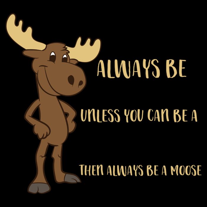 Always Be Yourself Unless You Can Be A Moose 16oz Travel Tumbler